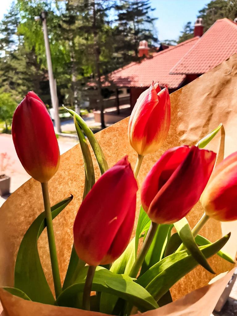 Apartman TRAG Divčibare photo 2