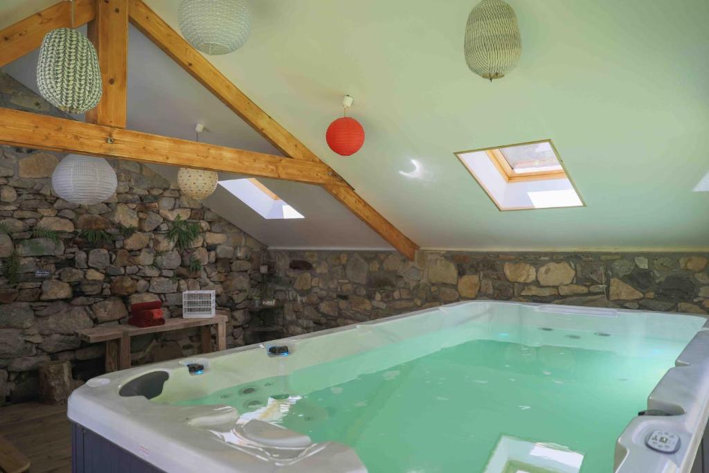 Le Domaine de Castille - maison pyrénéenne de charme - spa de nage photo 3