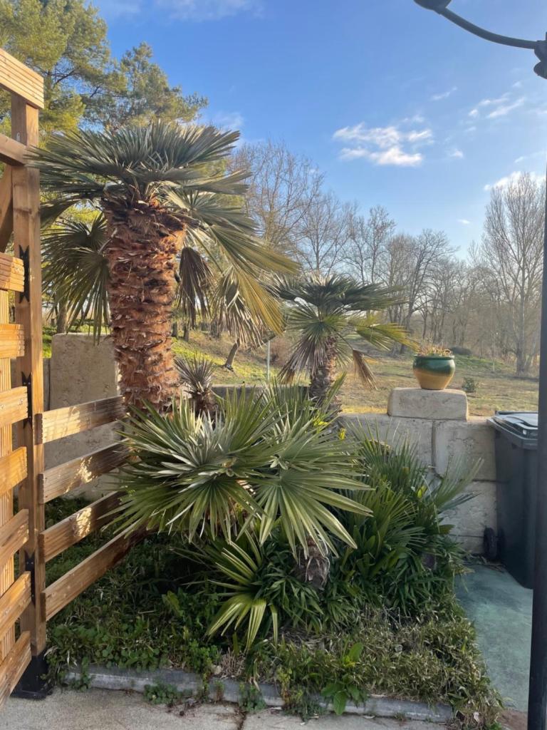 Chambres du Domaine Spa-piscine sauna