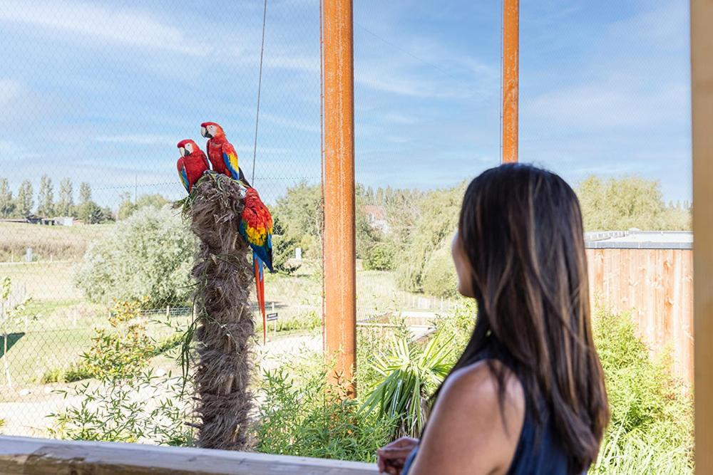 Parrot World - Les Lodges photo 3