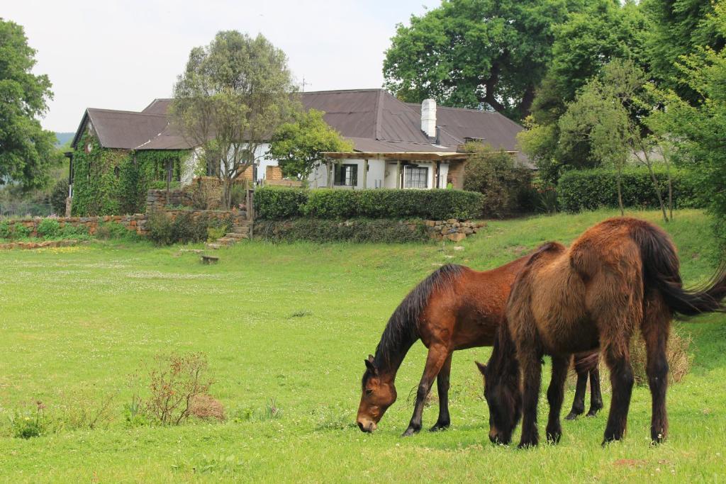 Newstead Farm photo 1