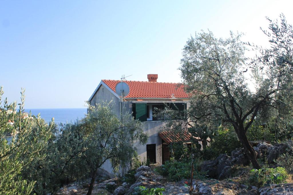Apartments by the sea Molunat, Dubrovnik - 8550 photo 1