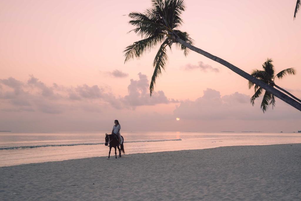 Siyam World Maldives - 24-Hour Premium All-inclusive with Free Transfer photo 1