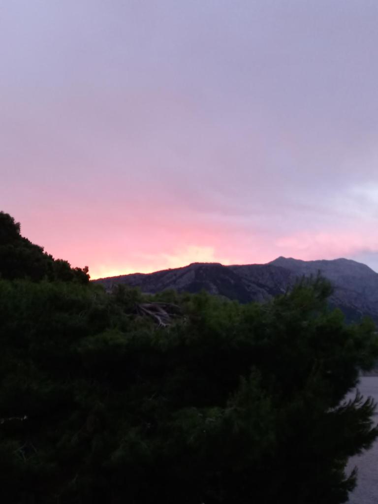 Villa Nora photo 3