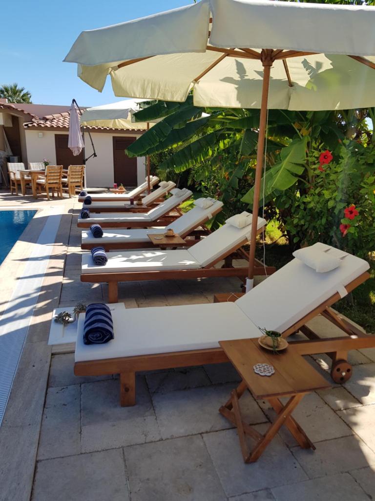 Villa Bade photo 4