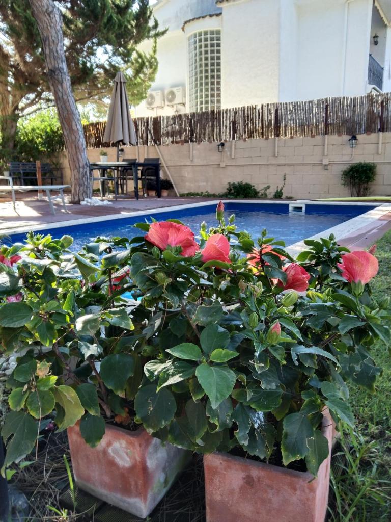 VILLA BELLA ESTANÇA photo 4