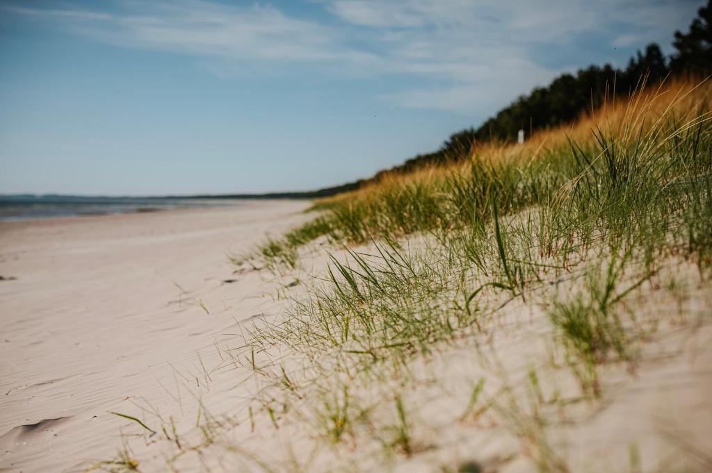 Schwimmendes Ferienhaus Trinity Usedom photo 1