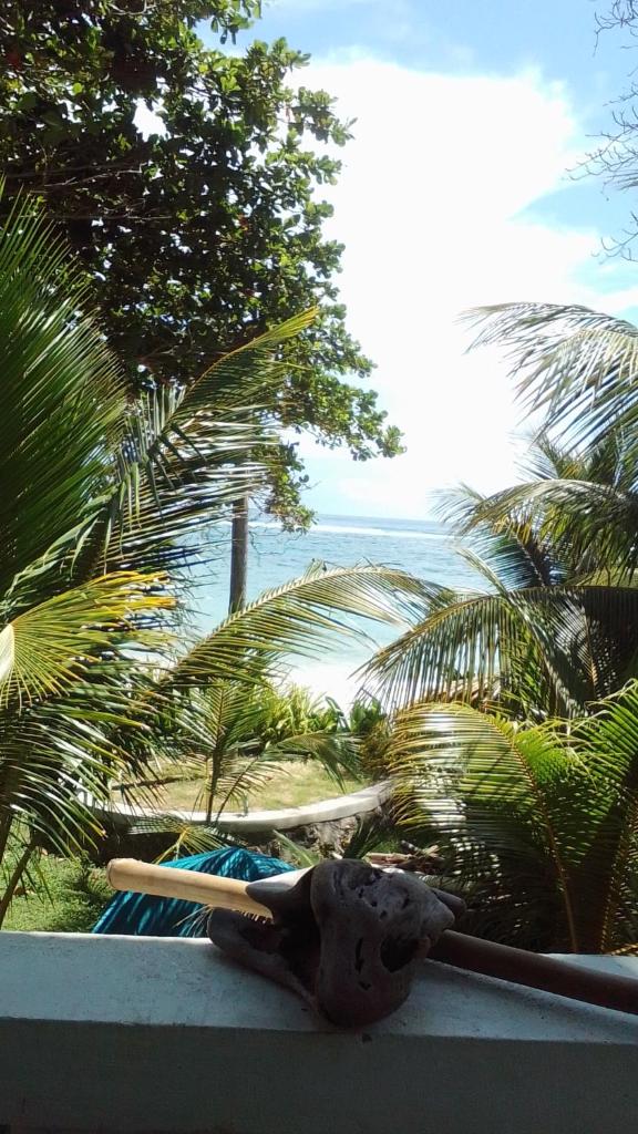 Port Antonio Brian's Beach House photo 3