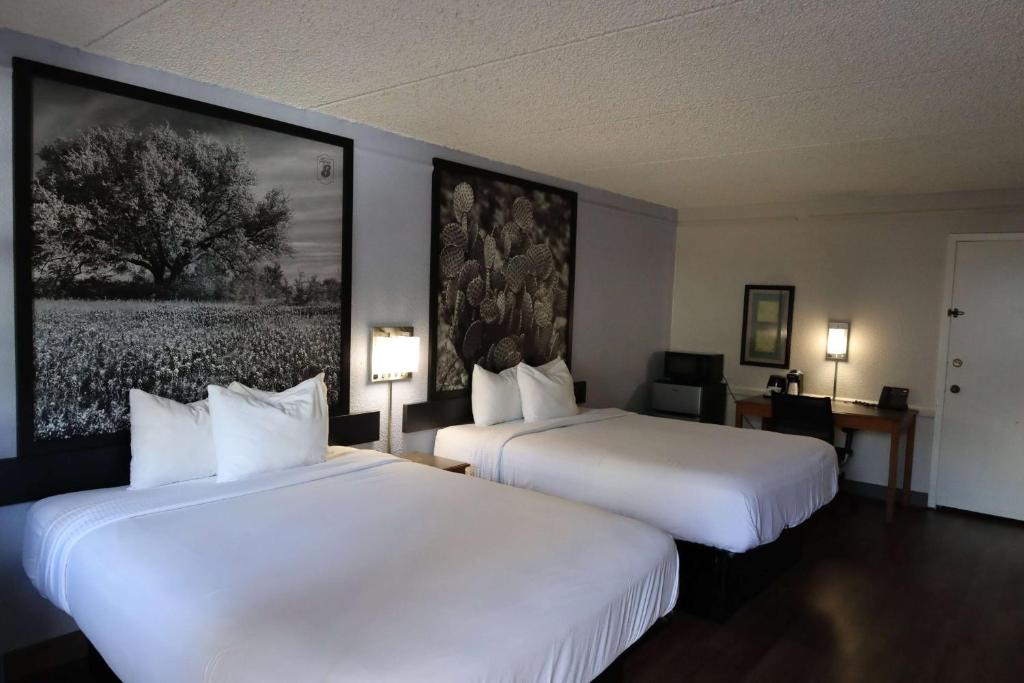 Super 8 by Wyndham Austin South I-35 photo 4