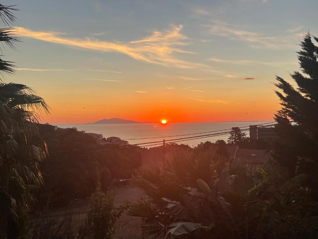 1베드룸 아파트