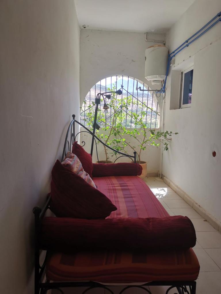 Le jardin d'habiba photo 4