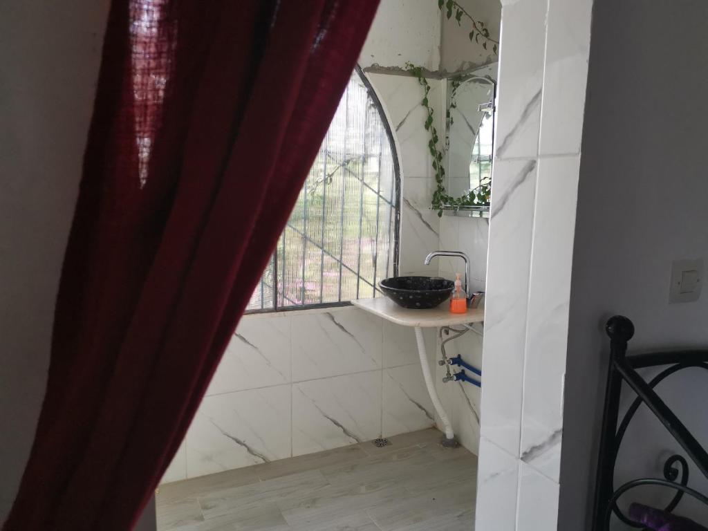 Le jardin d'habiba photo 1