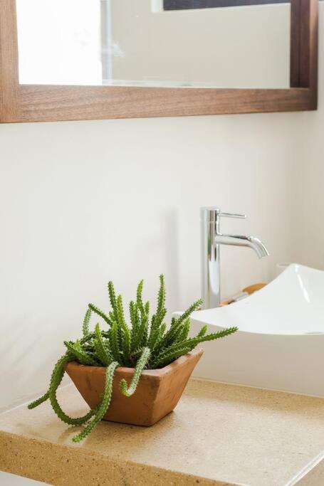 Neem 31 Comfortable, Luxury Apartment 10 min to the beach photo 4