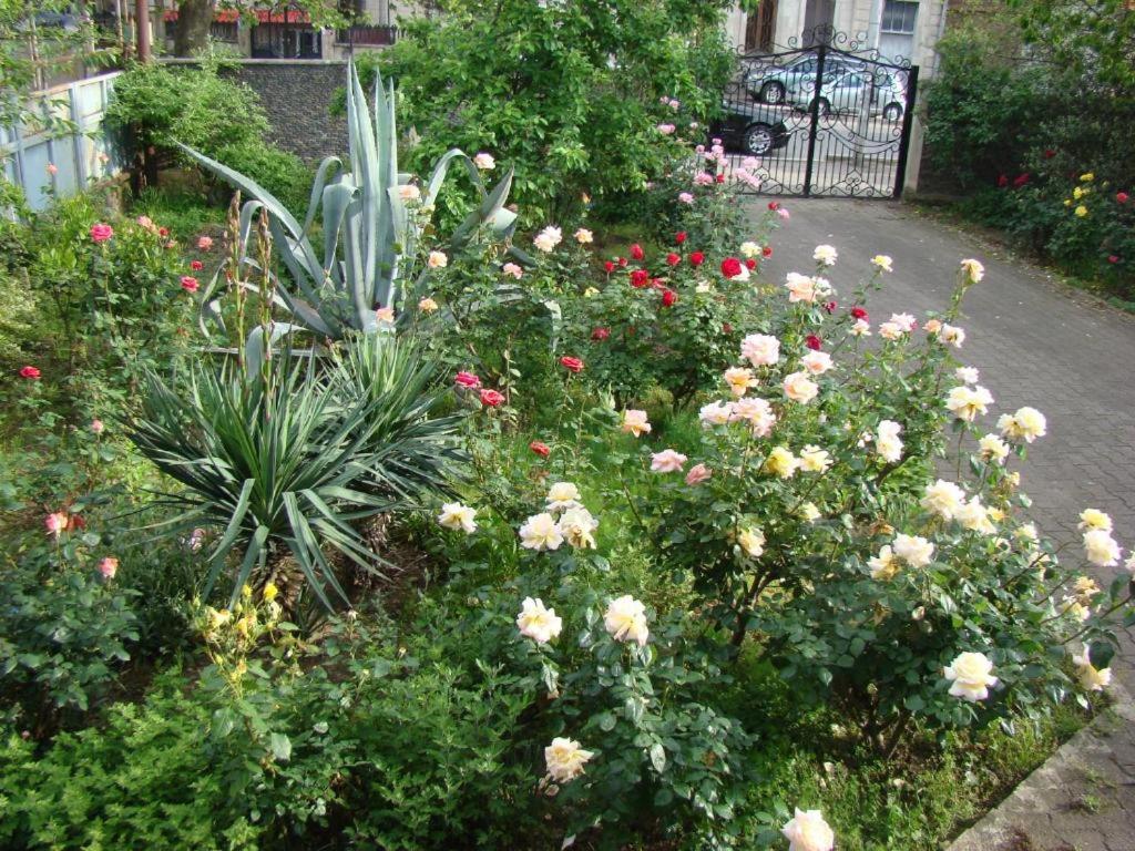 Townhouse Maria photo 4