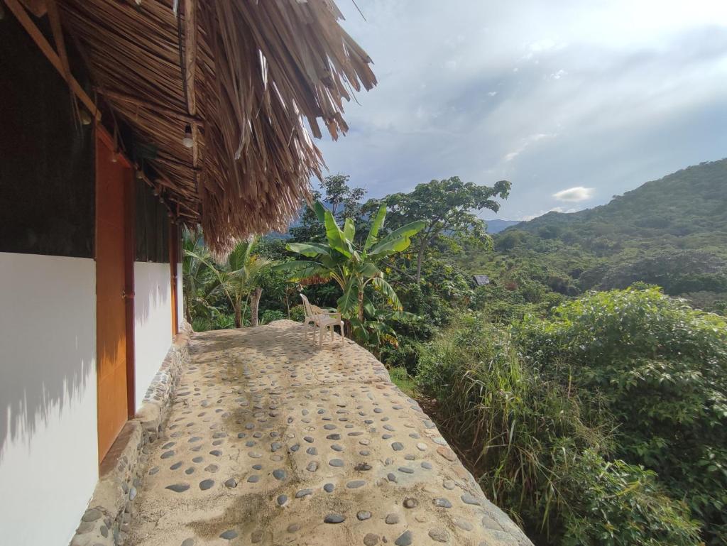 Mirador Dentro del Parque Tayrona photo 4
