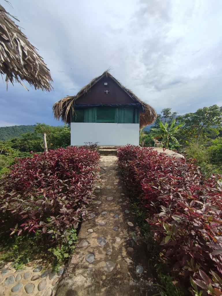 Mirador Dentro del Parque Tayrona photo 3
