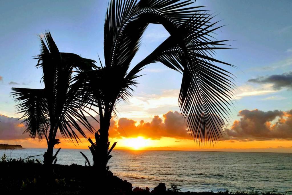 Pahoa Paradise Palms image