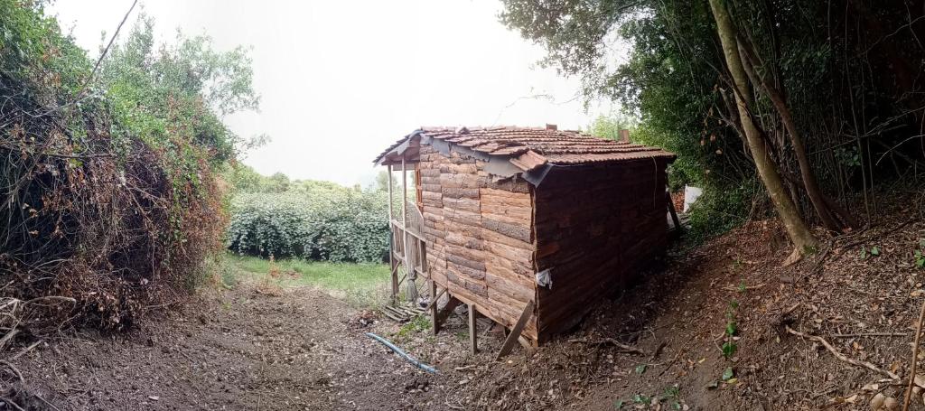 Kiwi Bağ evi photo 3