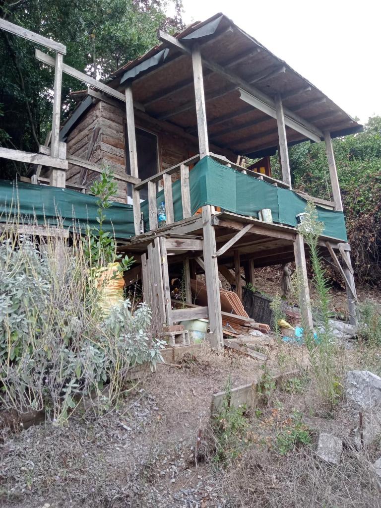 Kiwi Bağ evi photo 4