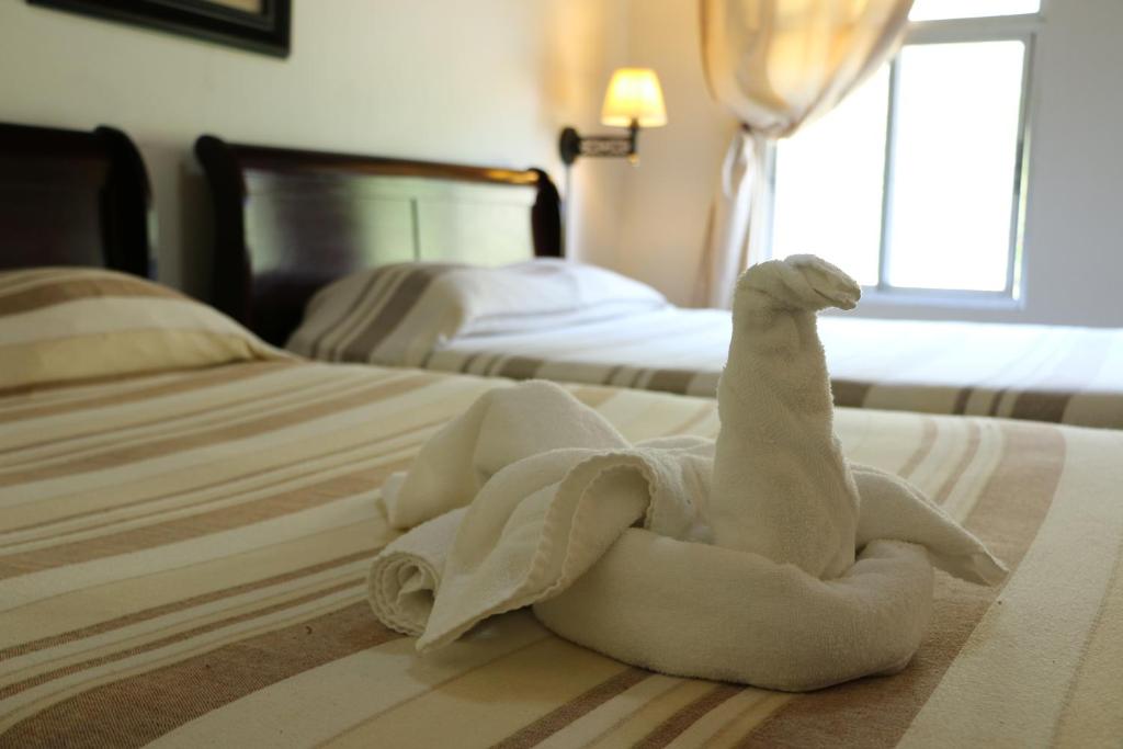 Hotel Campestre photo 3