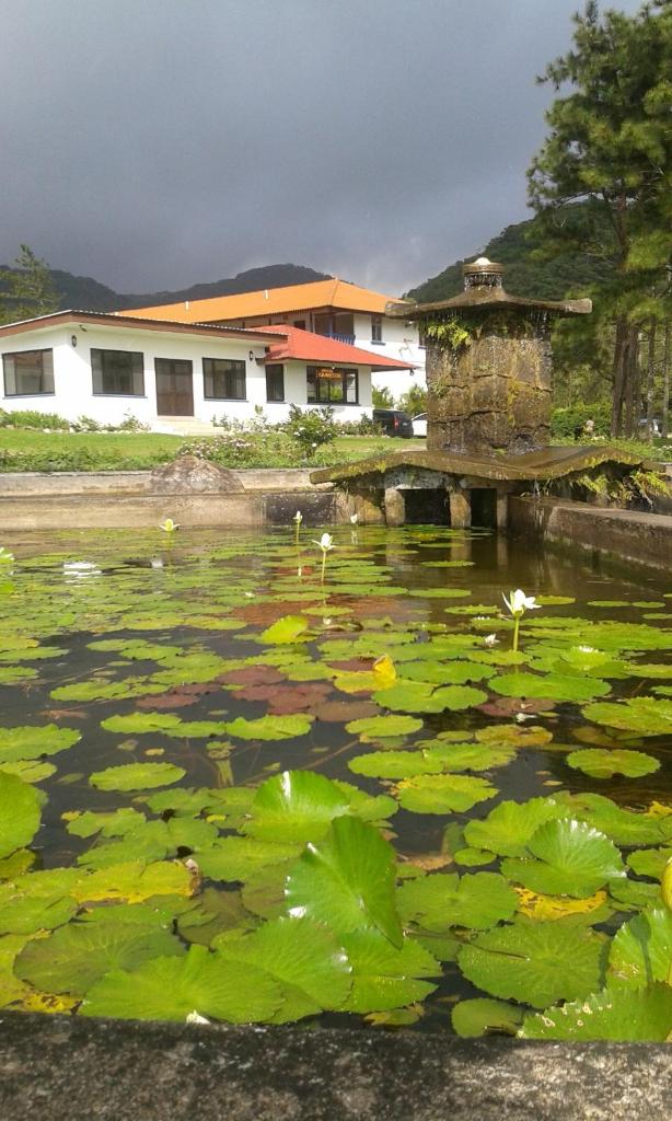 Hotel Campestre photo 4