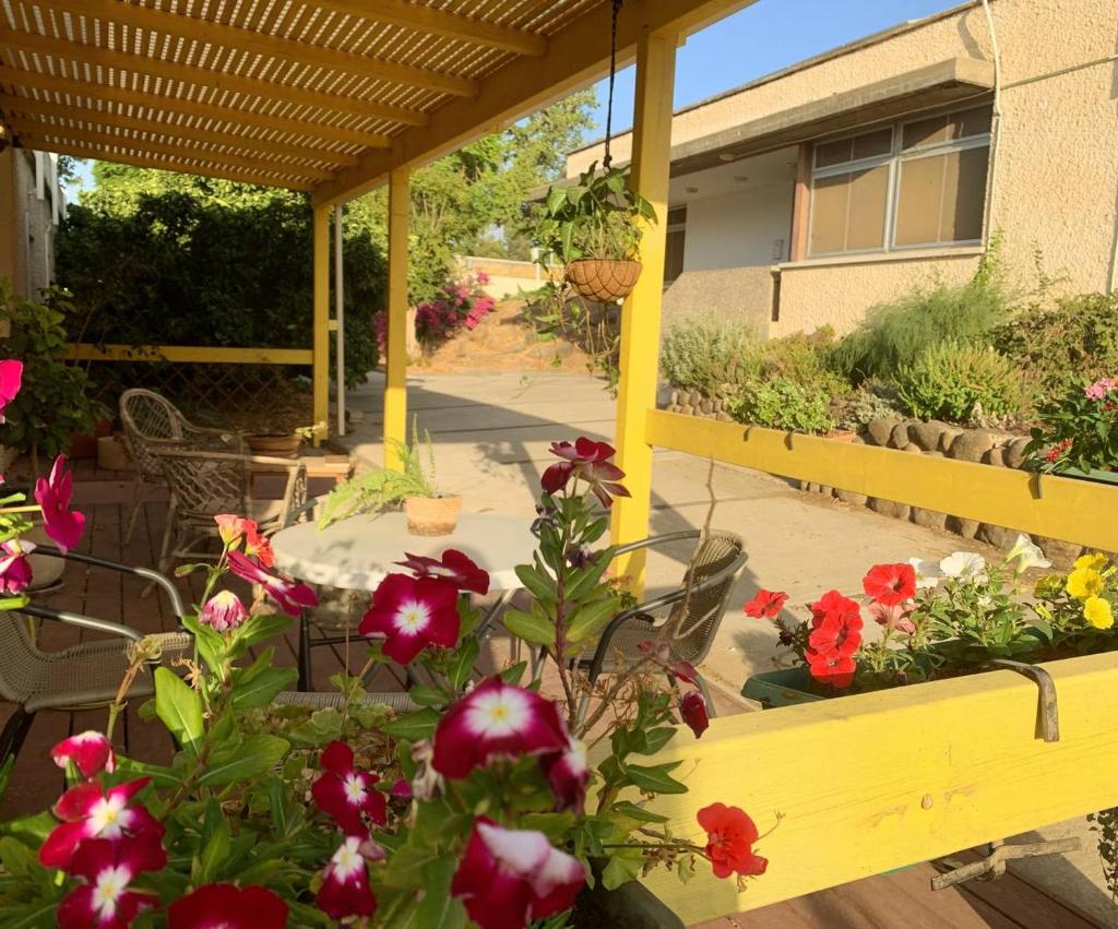 O&B Hospitality - אירוח אלף בית photo 4