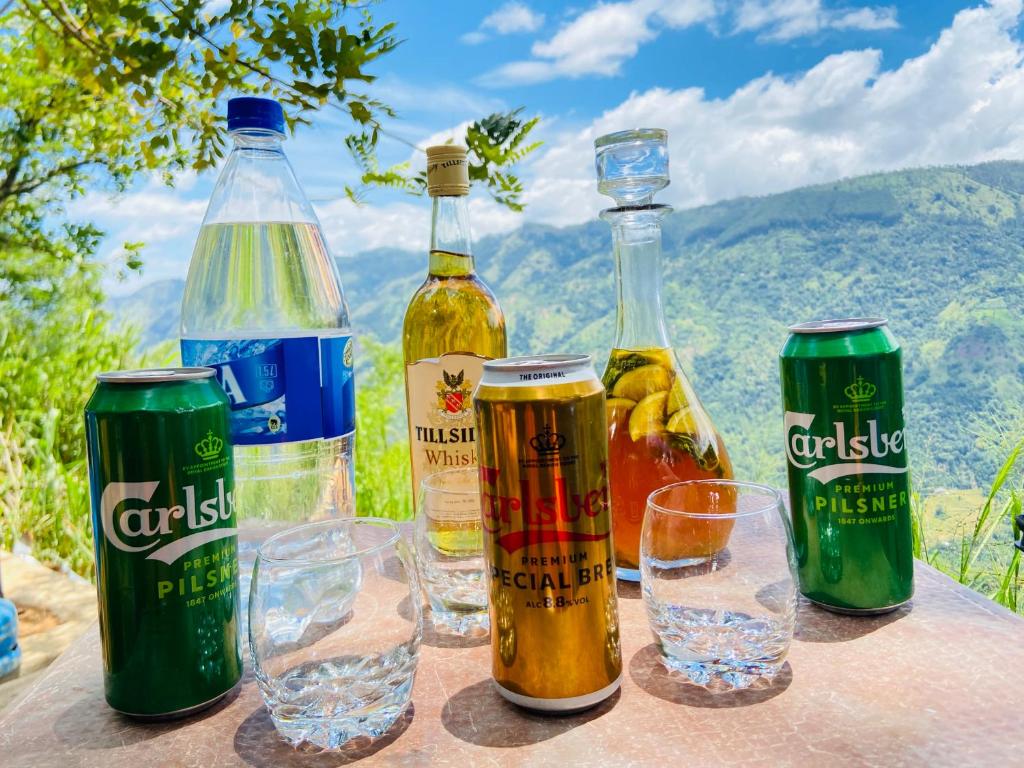 The Cliff Tea Glamping photo 4