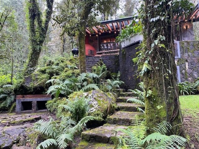 CABANA en el bosque TRANQUILIDAD ABSOLUTA, UNICO photo 4