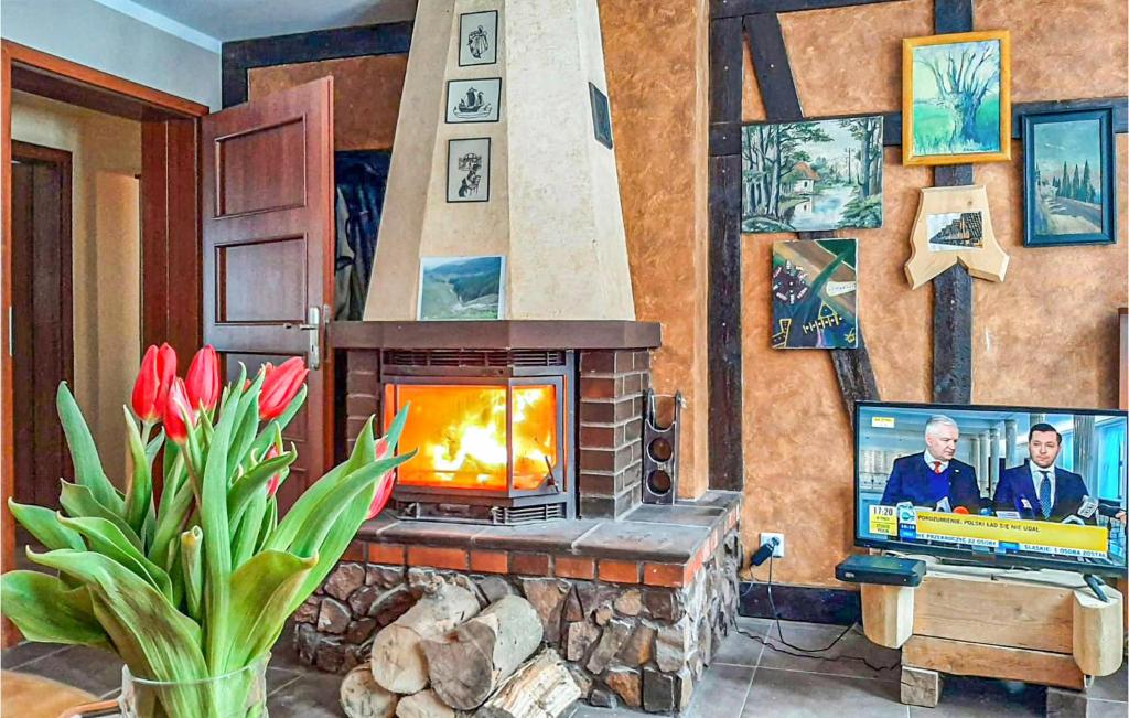 Amazing Home In Lubawka With Wifi And 4 Bedrooms photo 1
