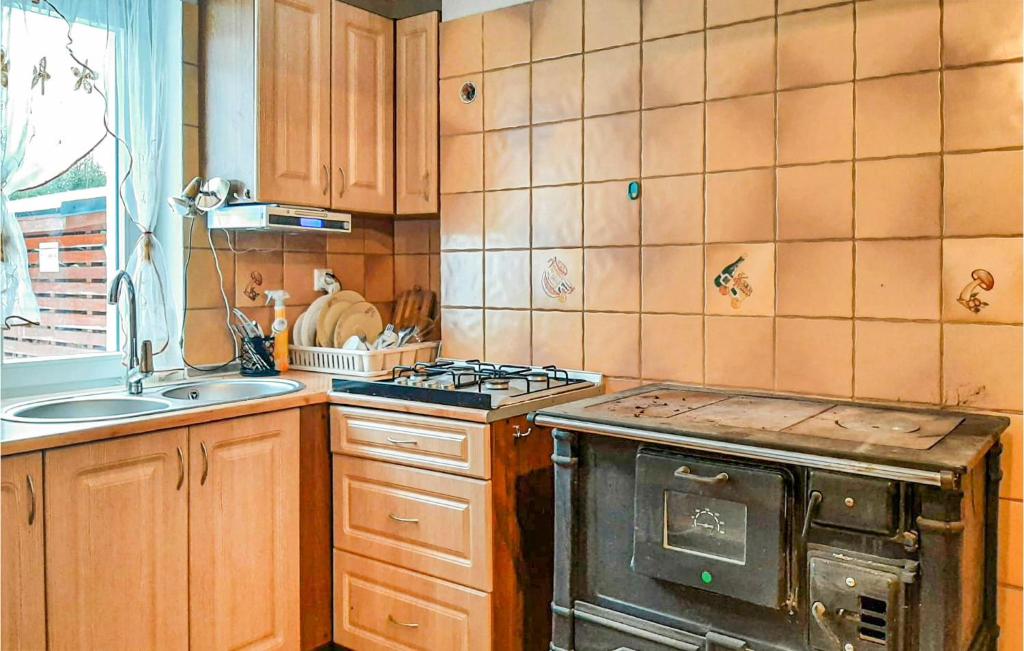 Amazing Home In Lubawka With Wifi And 4 Bedrooms photo 2