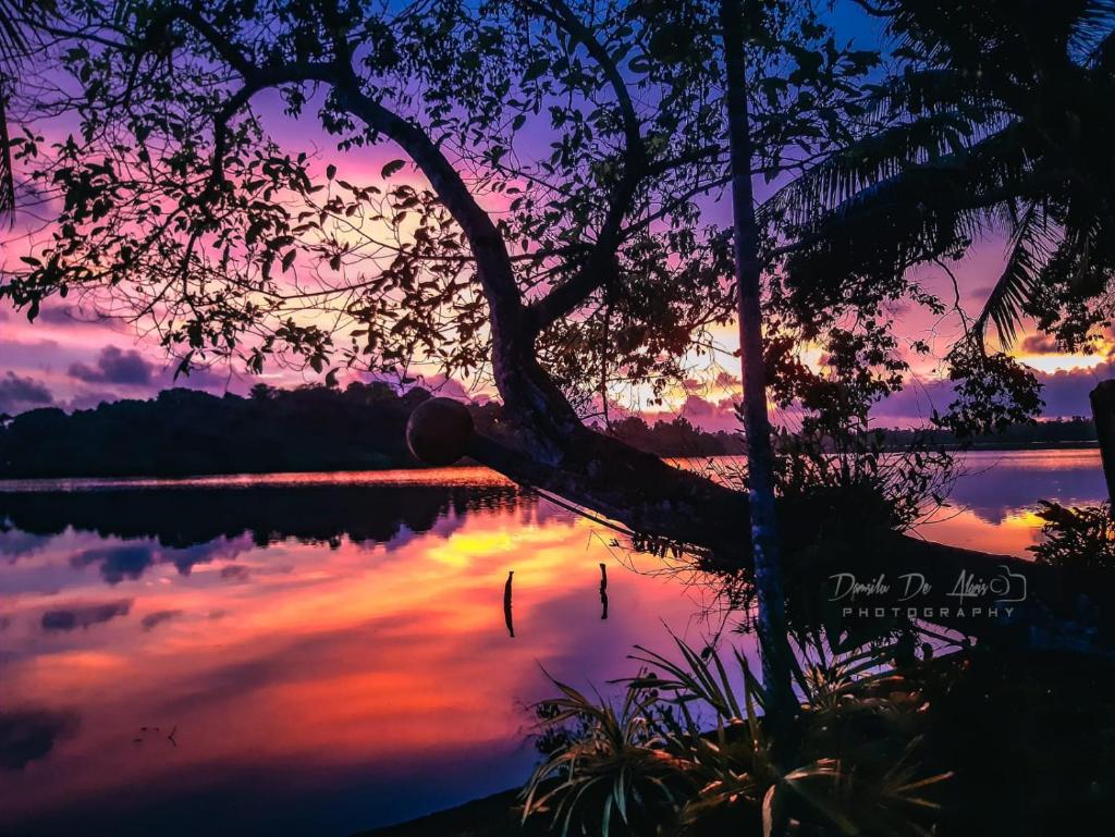 Sun Kiss lagoon bentota photo 1