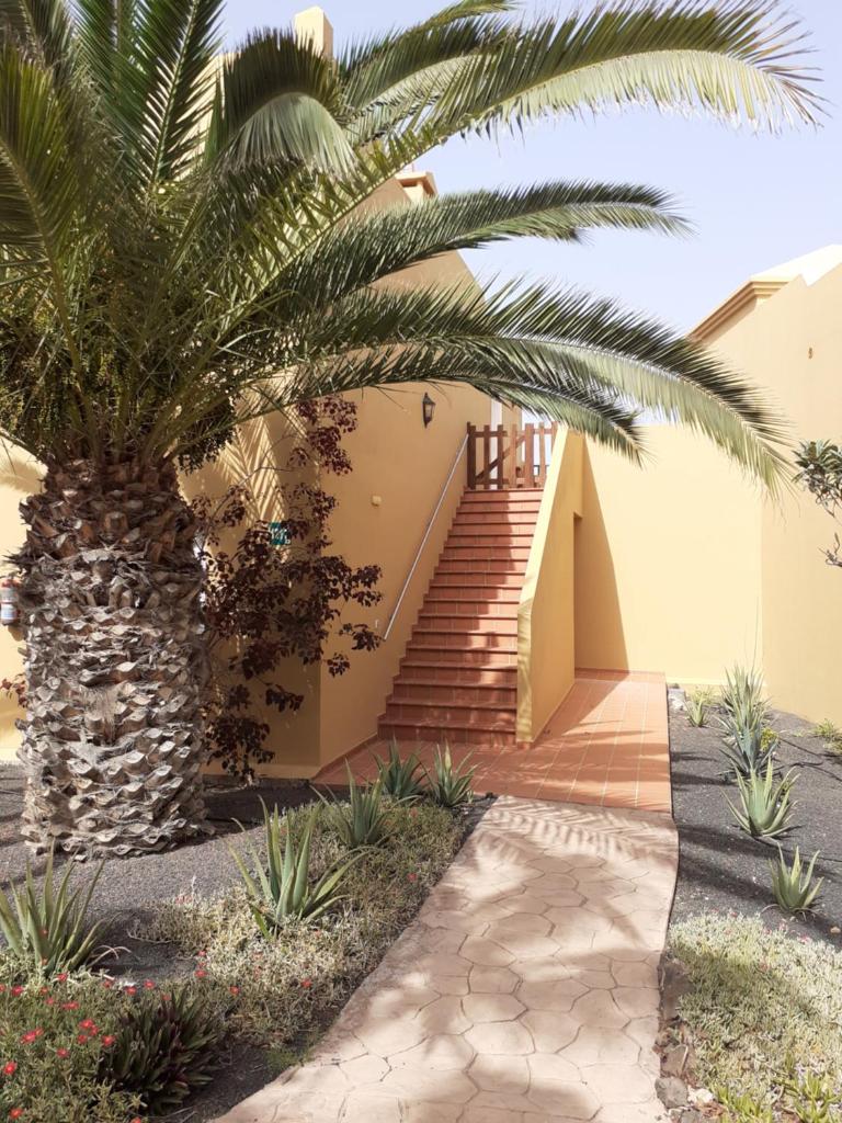 Oasis Waves House Papagayo photo 4