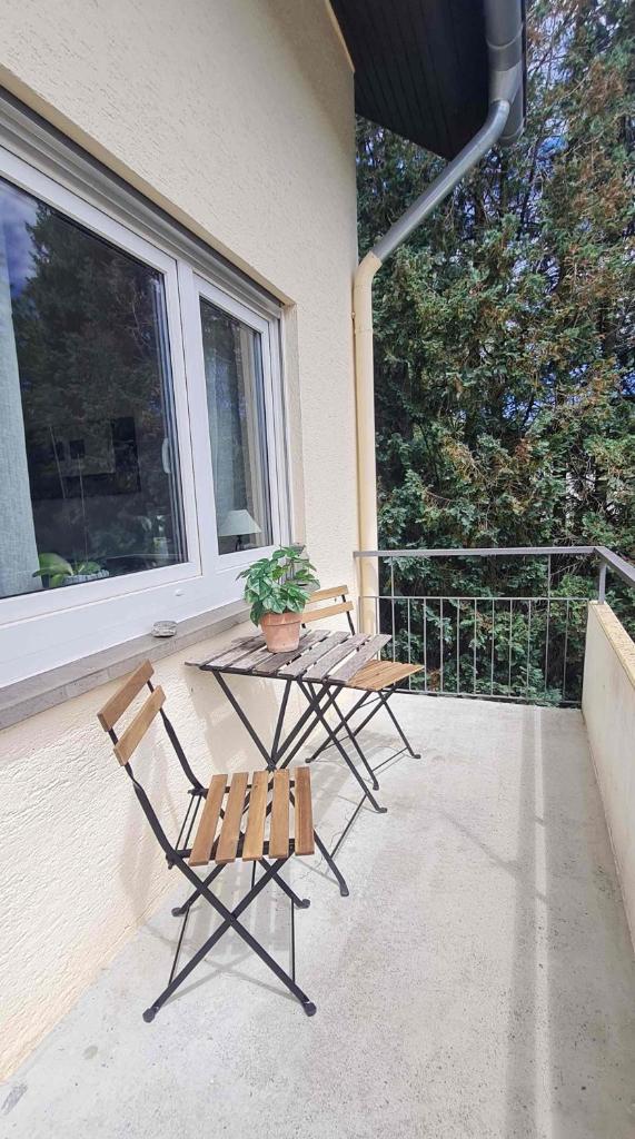 Ferienwohnung Schwarzwaldblick photo 2