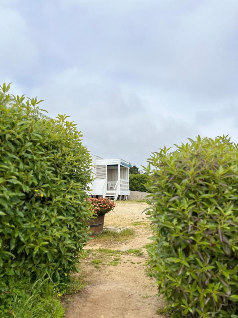 Cabañas Lomas de Pinares photo 4