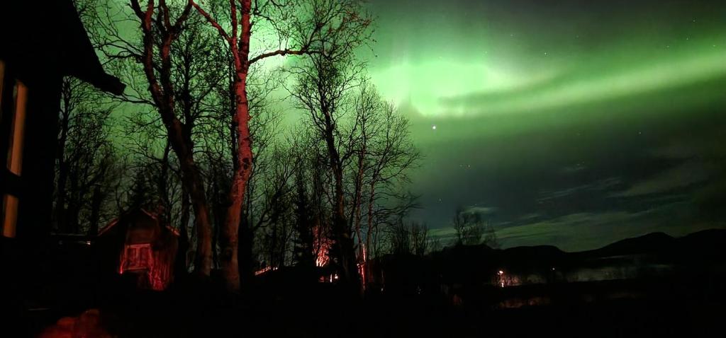 Cosy cabin in North-Norway, Nearby Senja. photo 3