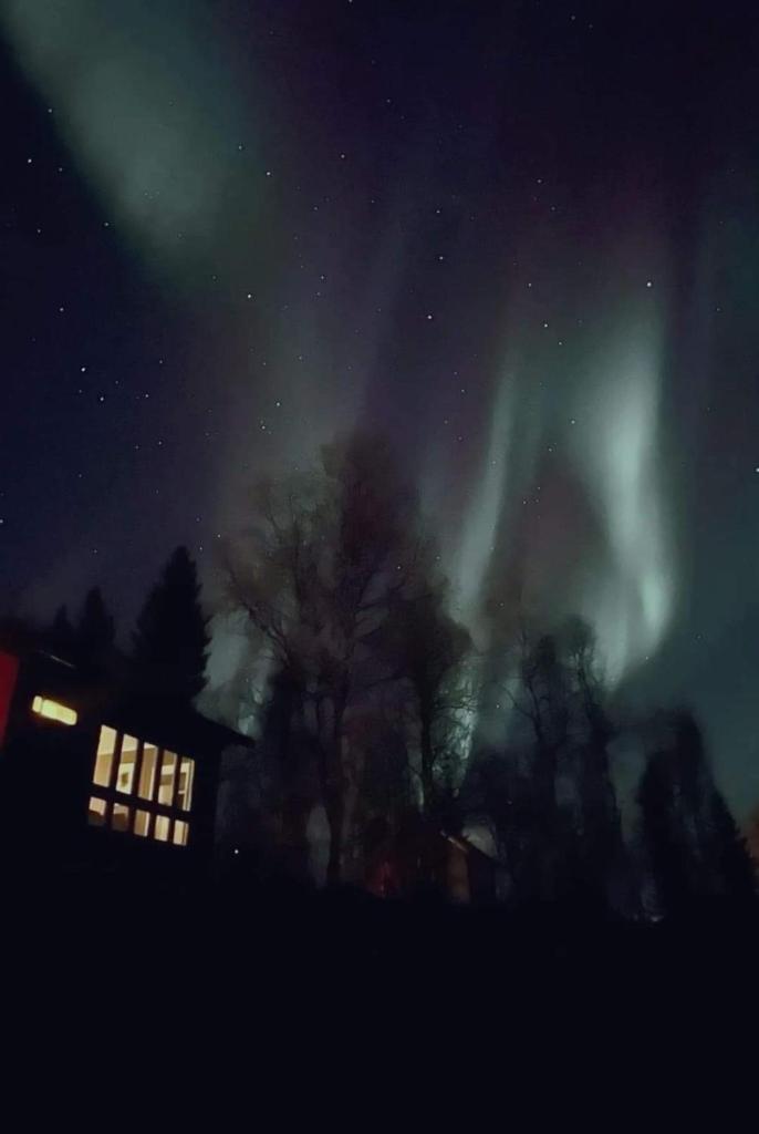 Cosy cabin in North-Norway, Nearby Senja. photo 1