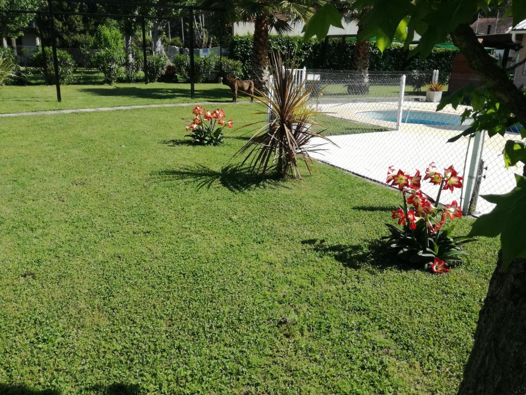 Cabañas Midelem photo 3