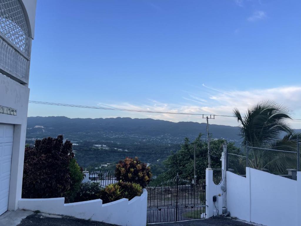 Skyline Suites, Queen, Ocean views condo