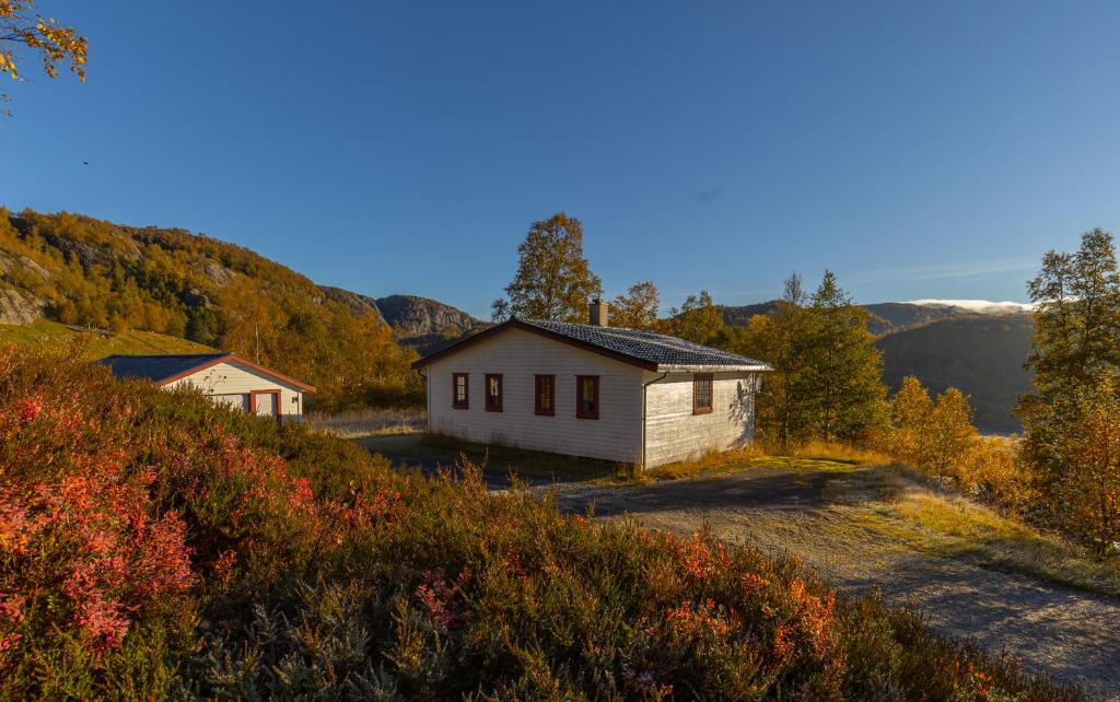 Bungalow in Sirdal photo 1