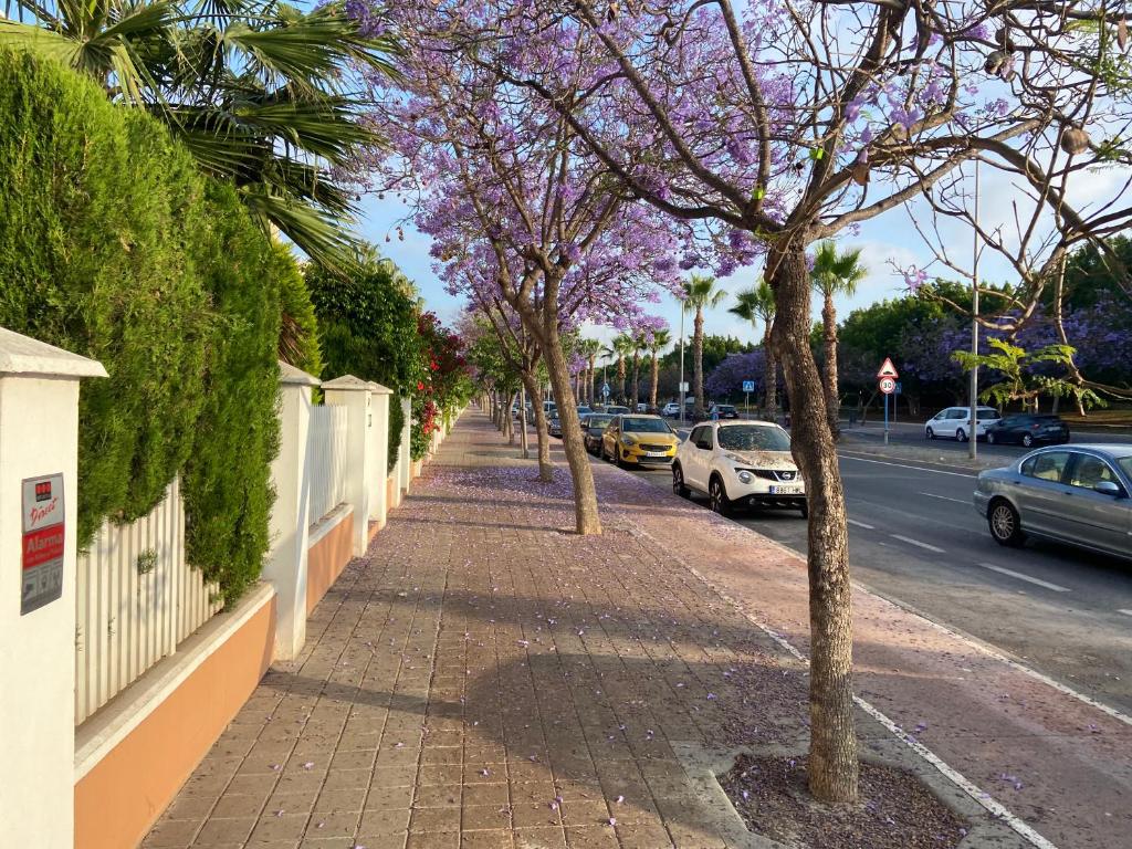 Villa Playa San Juan Alicante photo 2
