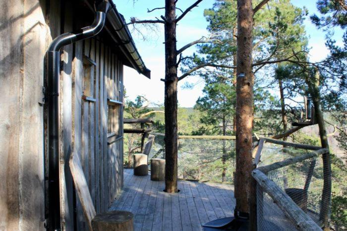 Tretopphytter På Grensen - Elghytta med robåt og gjeddefiske photo 2