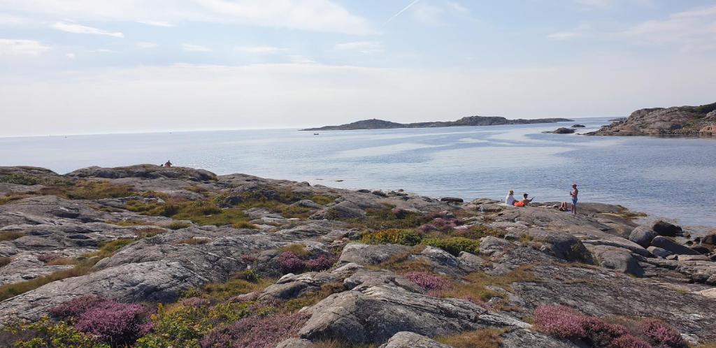 Holiday home in Onsala near the beach photo 3