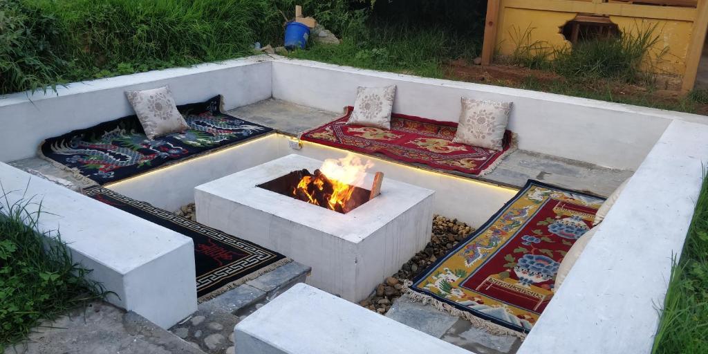 Dzi Pema photo 2