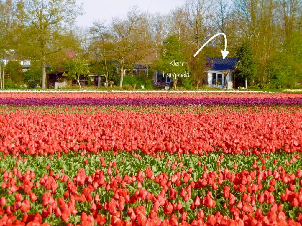 Klein Langeveld photo 2