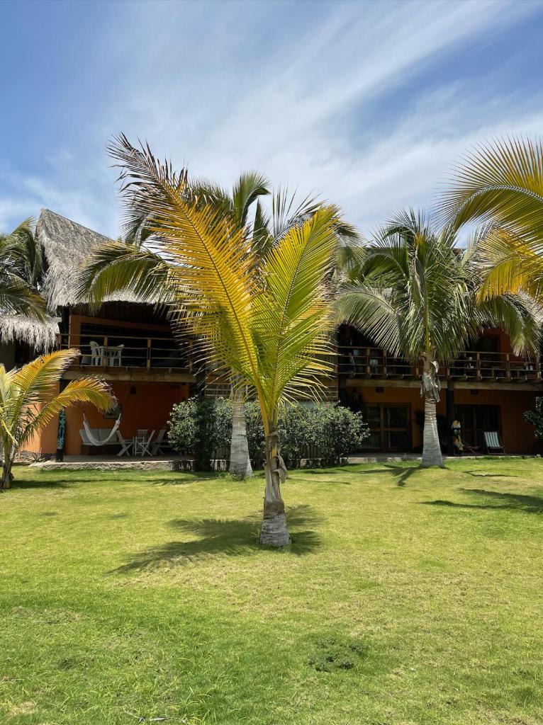 La Casa de Pitty photo 1
