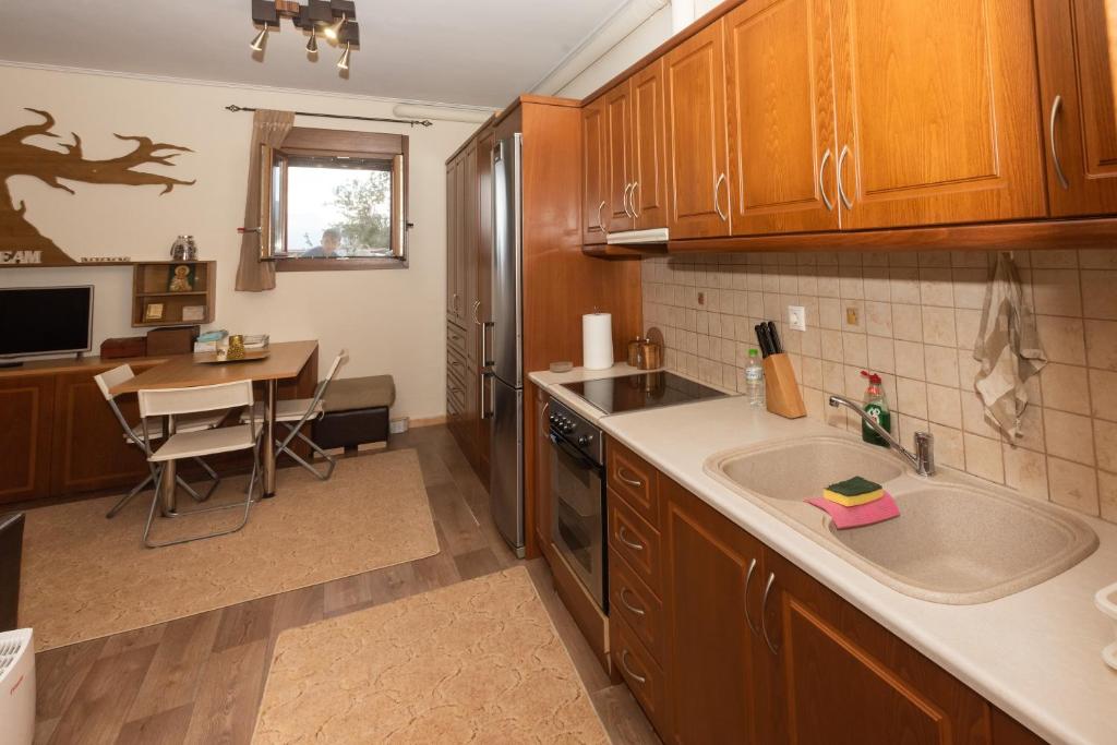 Dream Apartment Karpenisi photo 4