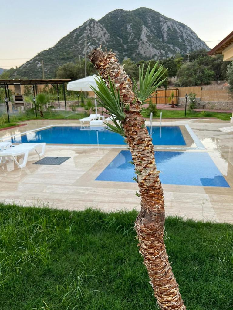 Villa Adrasan photo 2