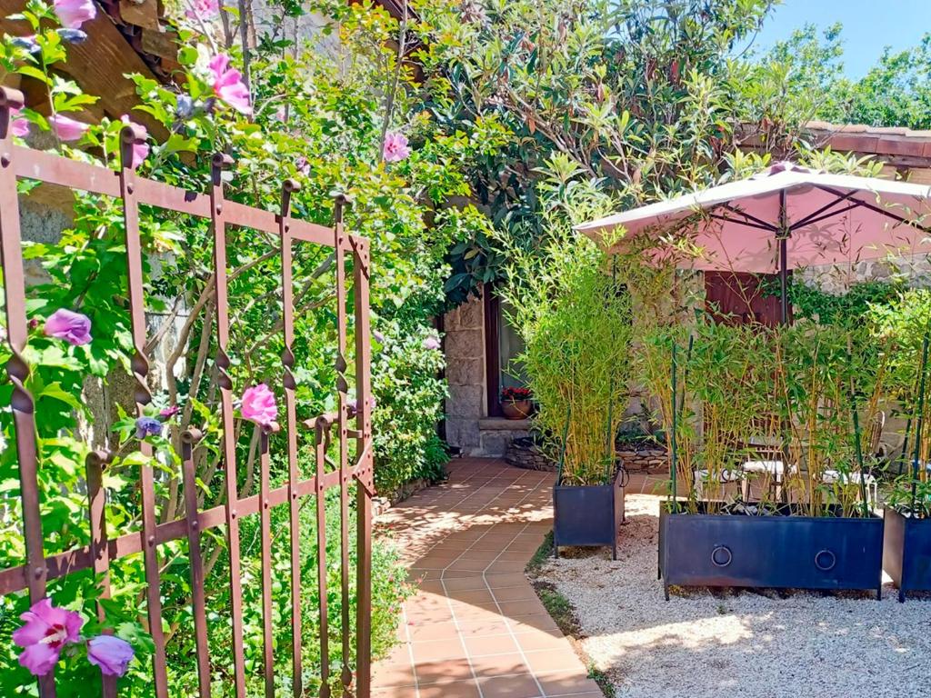 El Patio de Valentina photo 2