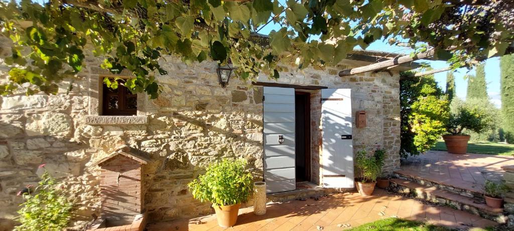 Agriturismo La Scarpaia photo 3