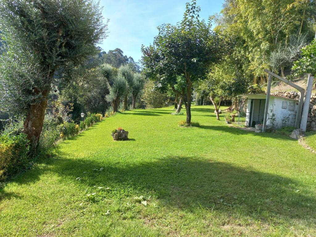 Quinta do ribeiro photo 4